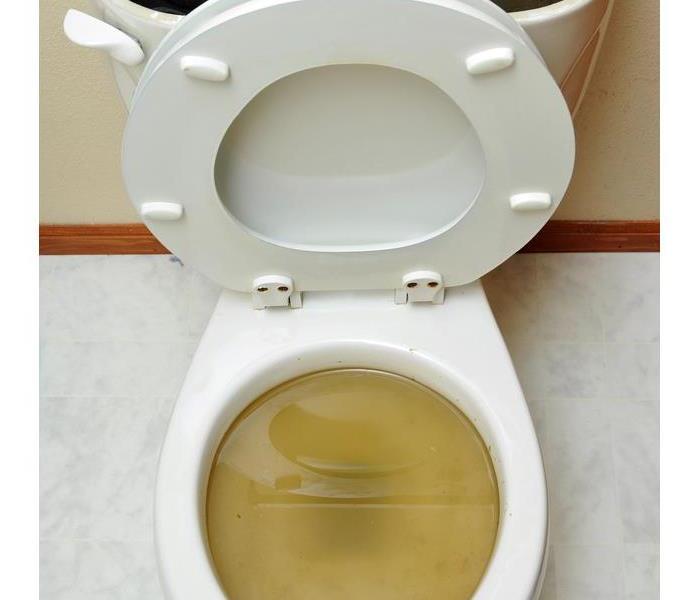 Sewage backup of a toilet
