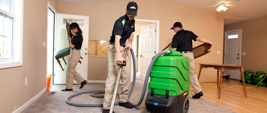 Waynesville, NC cleaning services
